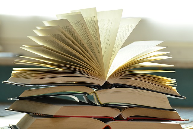 Becoming a Novelist: Five Principles to Success