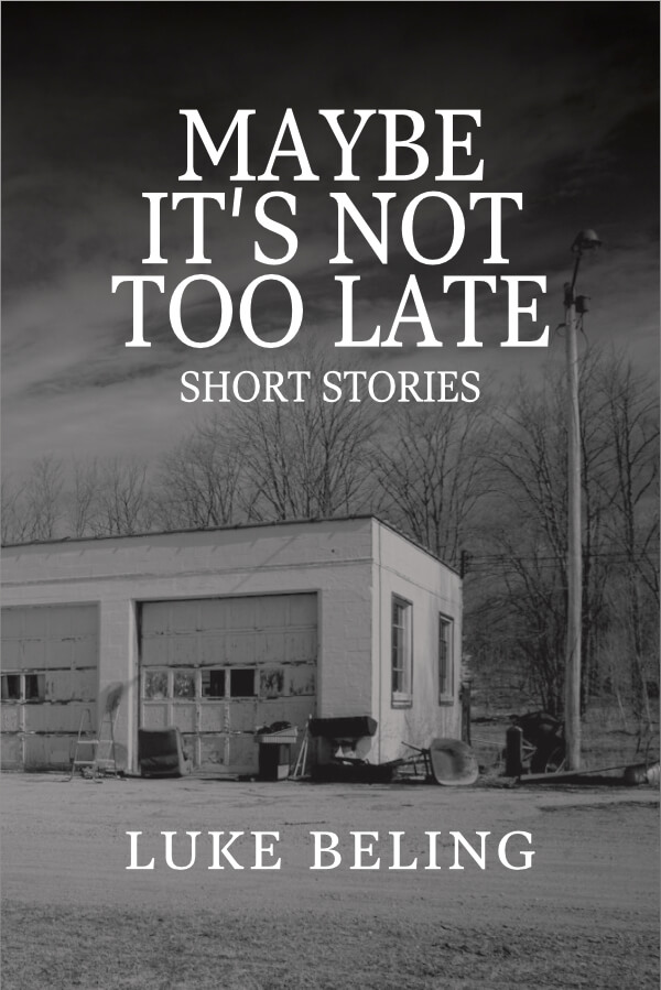 Maybe It's Not Too Late: Short Stories